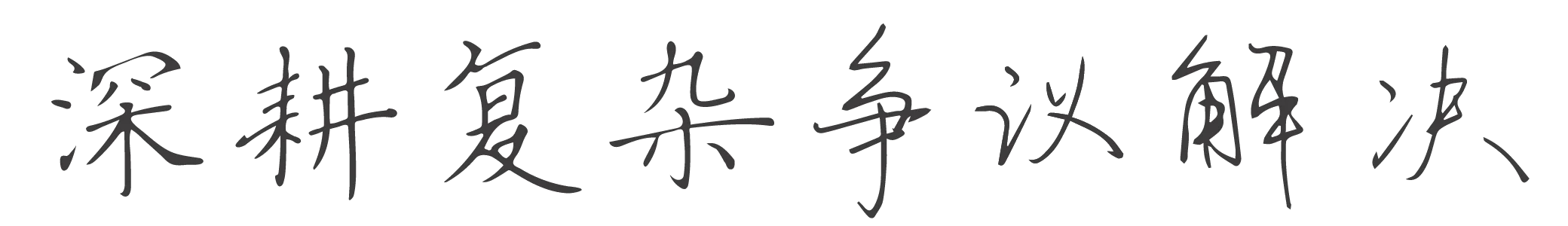 争议解决领跑者